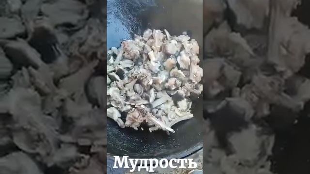 Мудрость