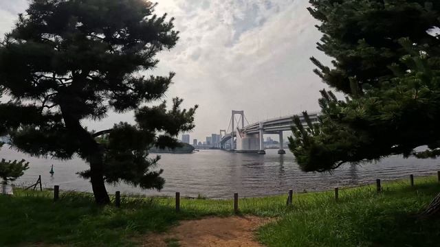 12187849_3840_2160_60fps