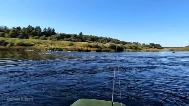 рыбалка на реке Великая щука и окунь