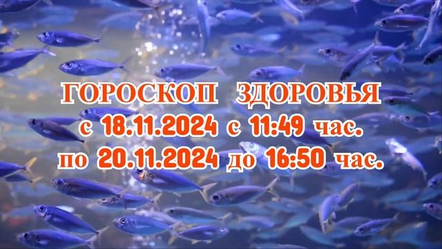 «ГОРОСКОП ЗДОРОВЬЯ с 18 по 20 НОЯБРЯ 2024 года!»