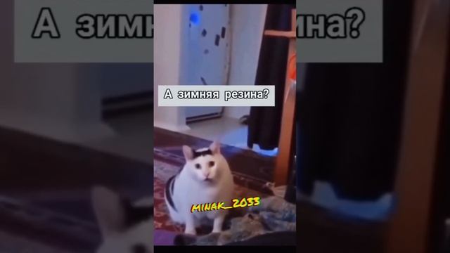#жига #2107 #суета #боеваяклассика #вспышки