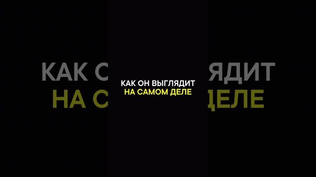 Как все думают…