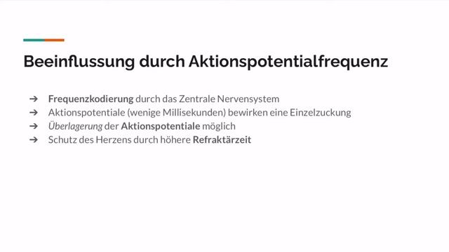 Motorische Einheit einfach erklärt - Rekrutierung am Muskel - Funktion & Definition der Einheiten