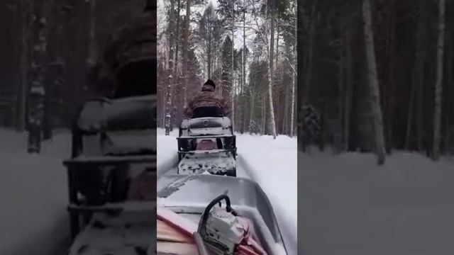 По тайге на снегоходе STELS Viking 600 👍