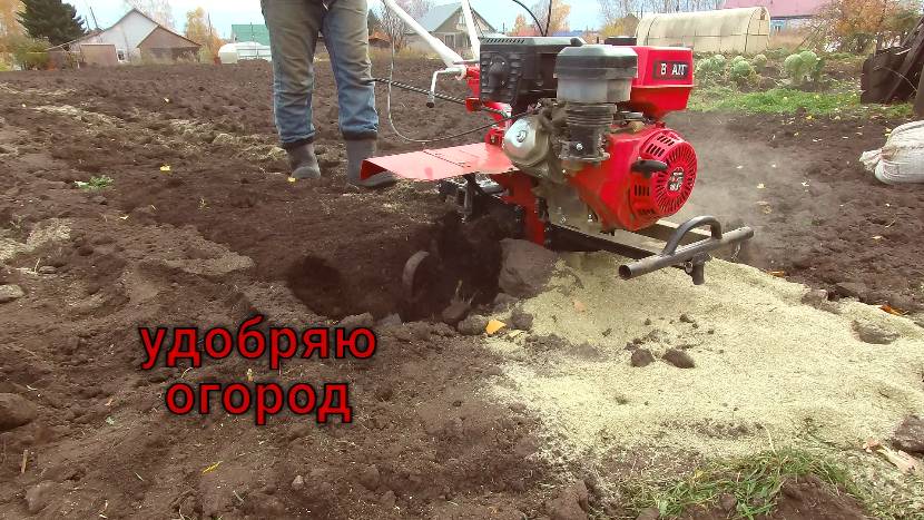 Удобряю огород сухими листьями.