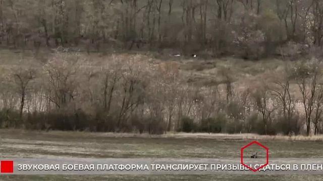 В начале было Слово...