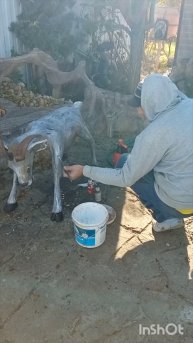 Весёлые истории...