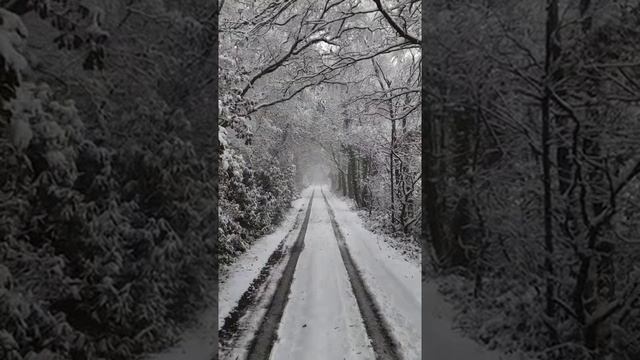 Есенин - Русь