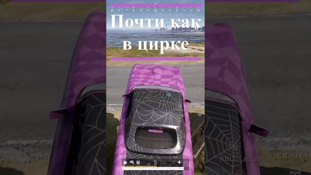 Чем не цирк