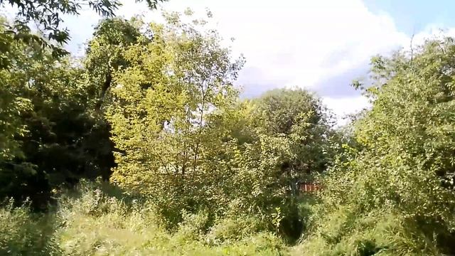 Искусство разрознавания пульса. Надо виджнянам. Из диагностики Васант Лад