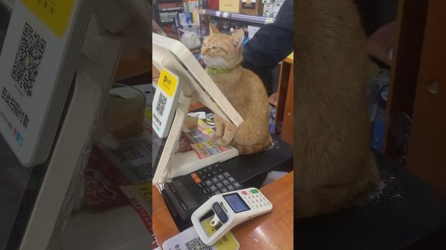Конец рабочего дня