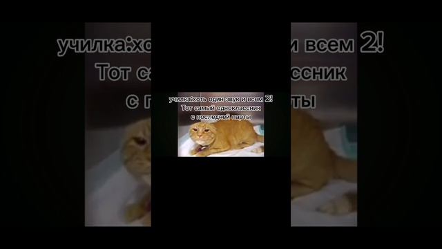 пов: