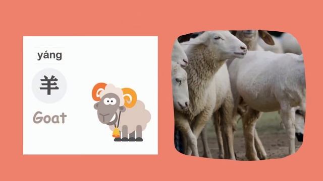 Learn the Chinese Zodiac in Mandarin Chinese for Toddlers, Kids & Beginners ｜ 十二生肖