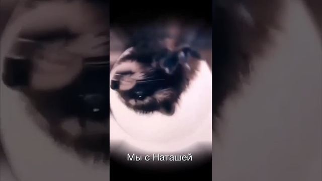 Скоро сезон иван-чая