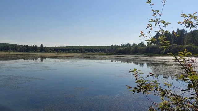 Дорога к озеру деревни Луково.