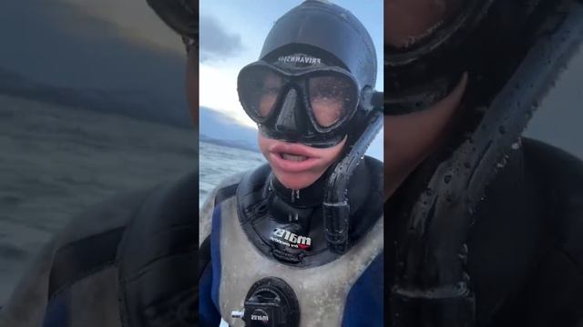 2_5314720169908527363.mp4