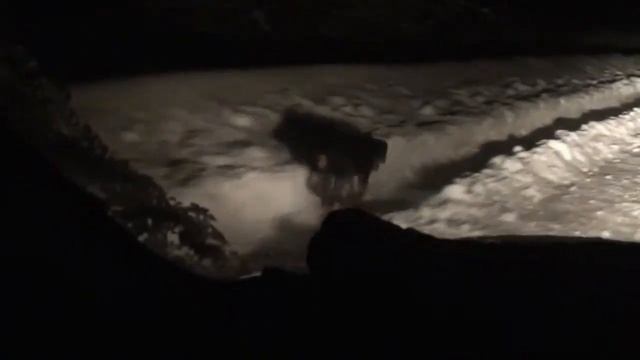 Ягдтерьер ночная прогулка перед сном | 10км