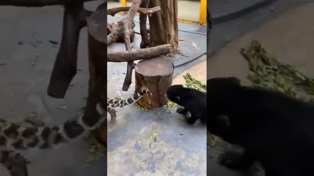 1000011852.mp4