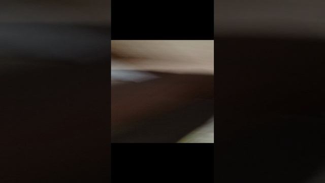 1000007572.mp4