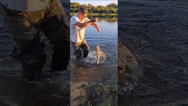 1000030727.mp4