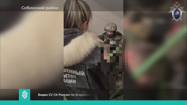 Новости Владимира и Владимирской области 15 ноября 2024 года. Дневной выпуск