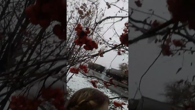 Какая у вас погода 😊 #челлендж