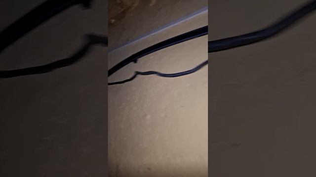 1000007388.mp4 (Собака смотрит на вариант электроснабжения дома А-фрейм)