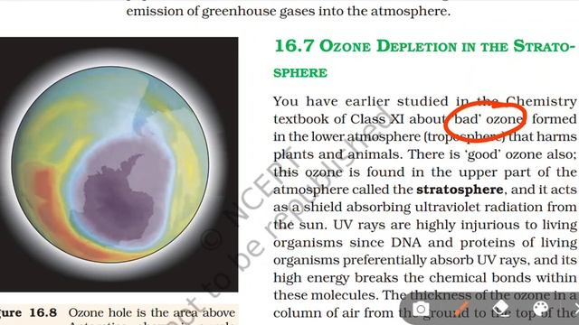 Class12 Lesson 16 Environmental Issues part 5 Greenhouse effect Global warming Ozone layer depletio