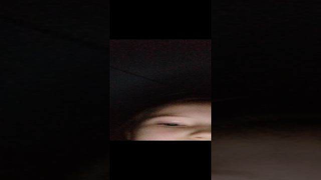VID_20241115_171750.mp4
