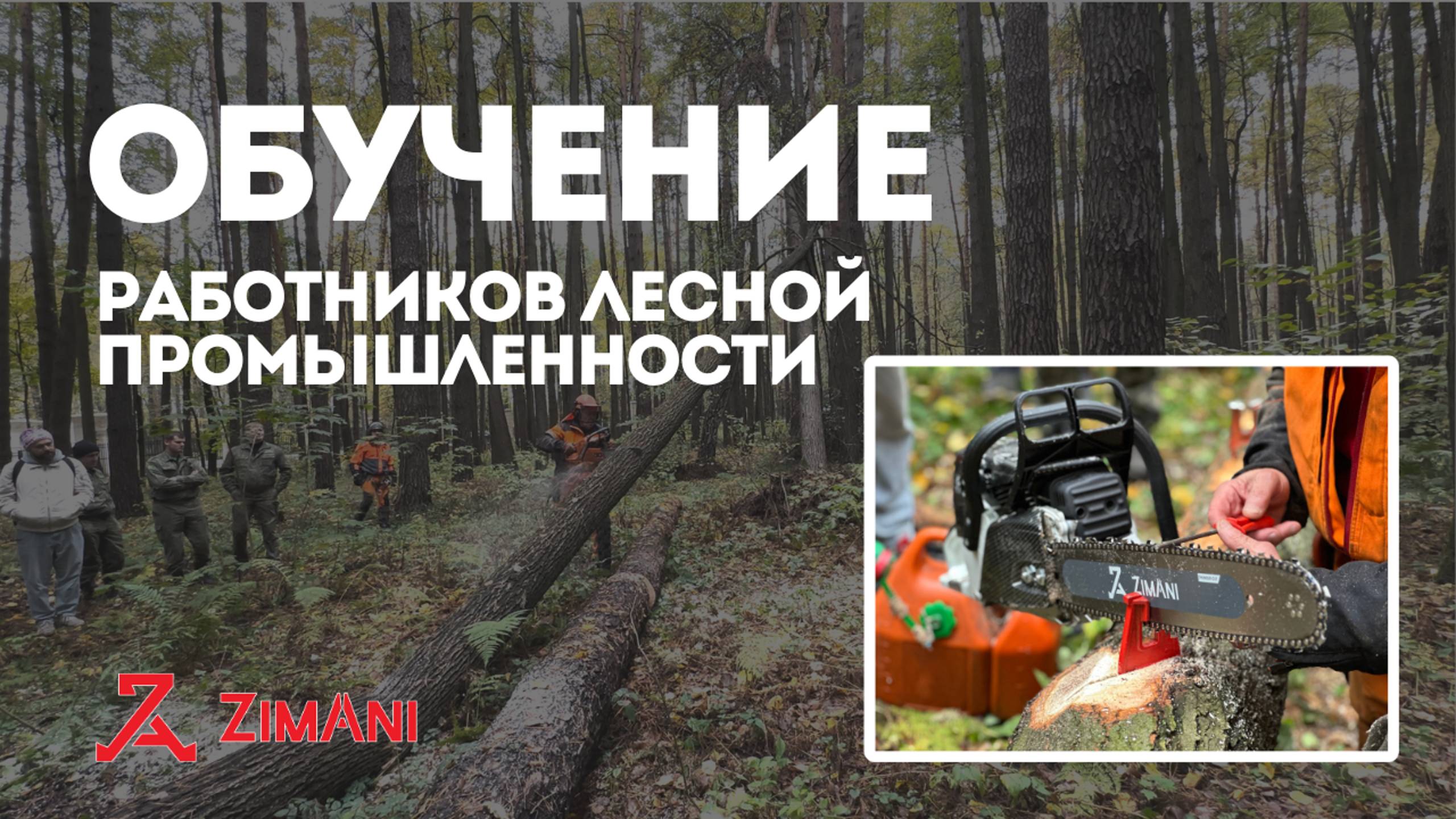 Обучении работников лесной промышленности с Юрием Викторовичем. Презентация Бензопил ZimAni