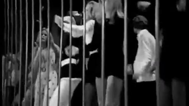 Canned Heat Let's Work Together ft TotP Audience Feb 1970 HQ Audio