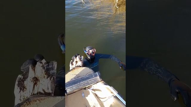 Маугли под водой) #подводная_охота #рыбалка #прлводник #судак #трофейнаярыбалка #рыбалка