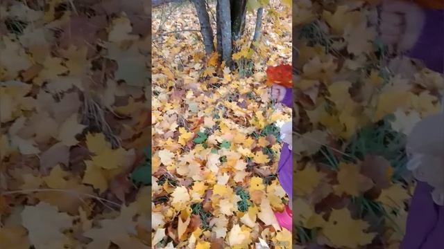 Осени помашем мы рукой
