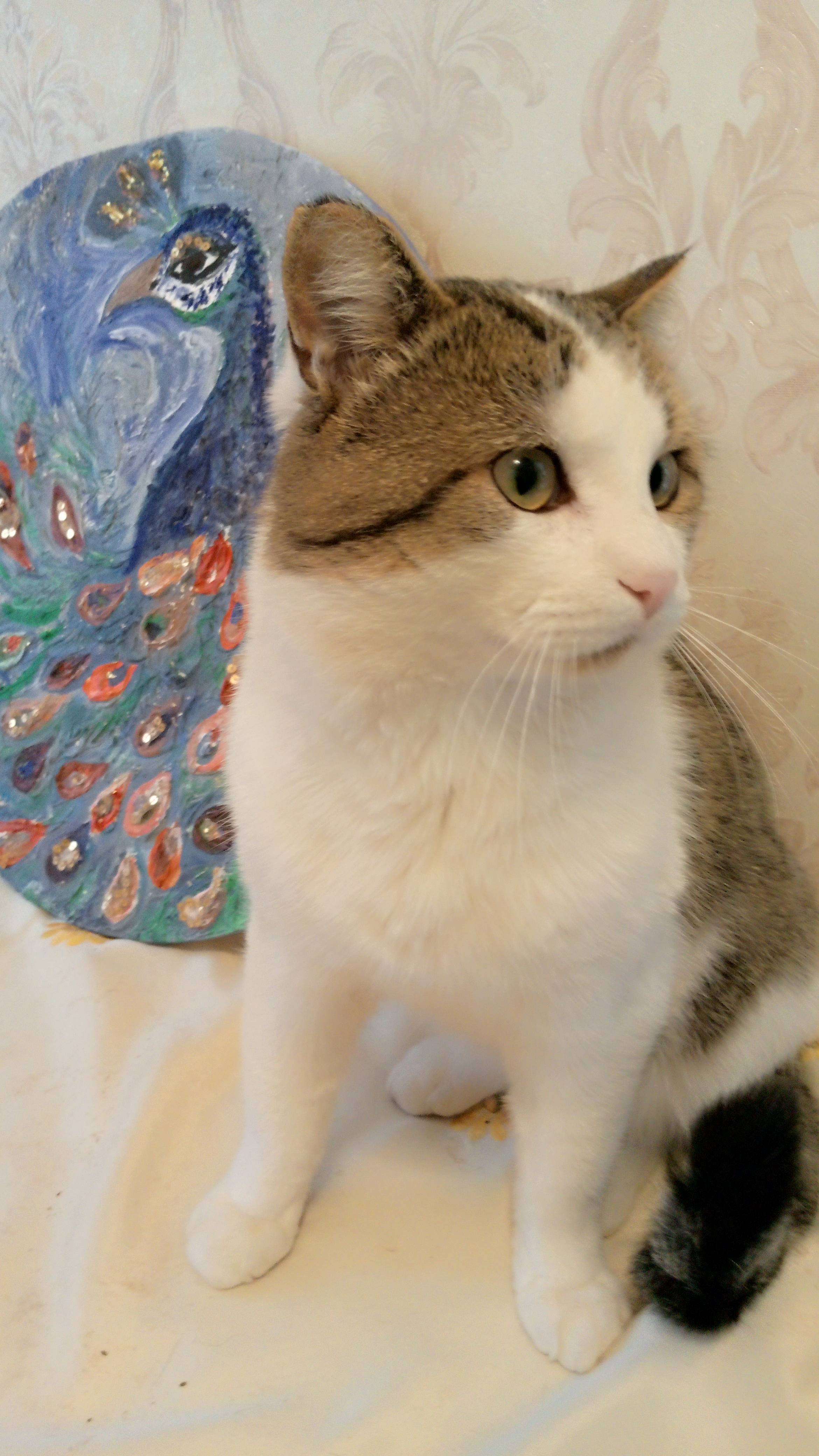 Catlover!
