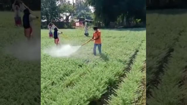 Spraying of deltamethrin 25% 1 tablet/15 litre water for control of  podborer in chick pea.