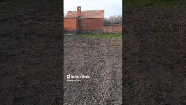 НАС ЖДУТ ВЕЛИКИЕ ДЕЛА В ОГОРОДЕ!!!Shorts