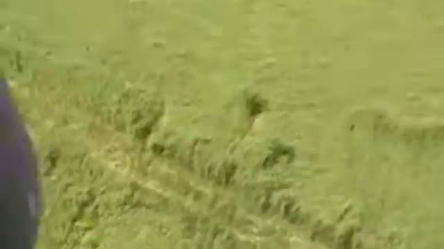 Летнее видео - ВЫШКА, полный обзор - 30 метров
