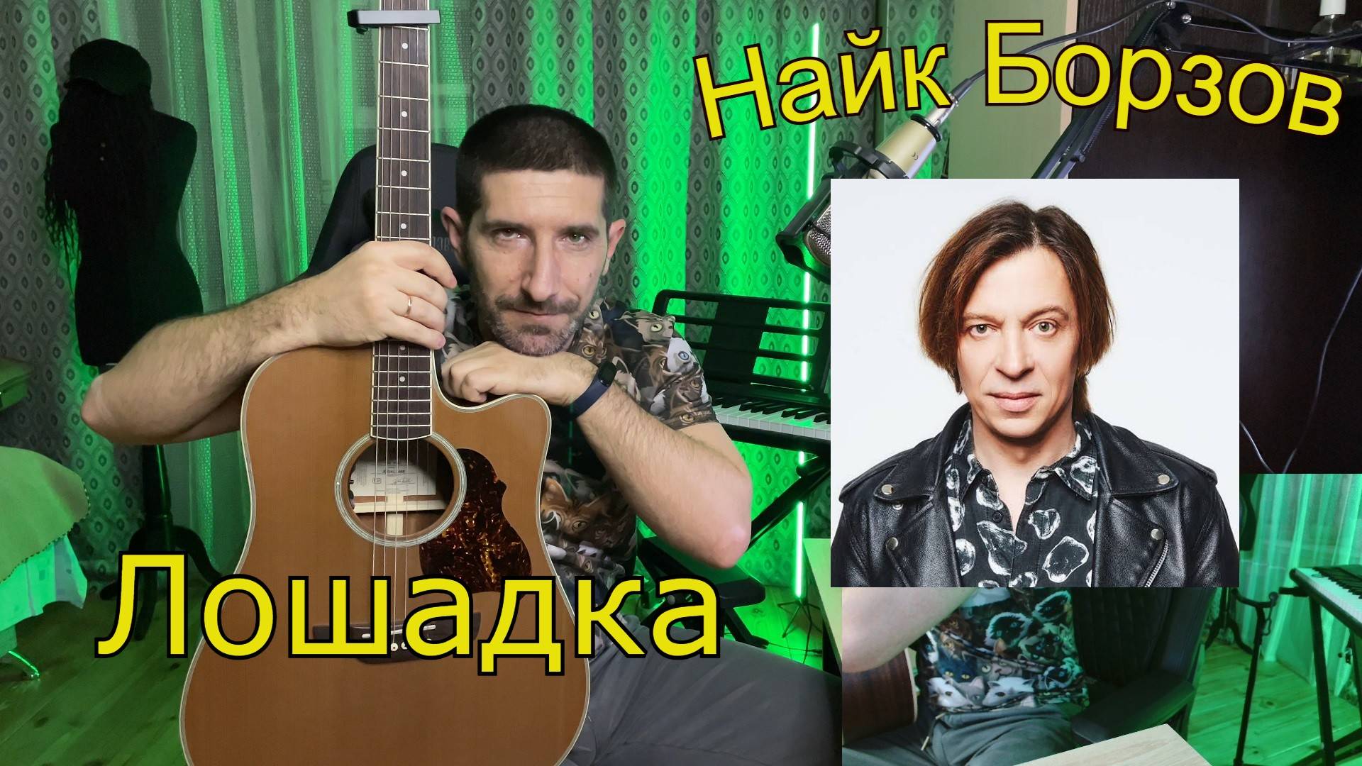 Песня о маленьком животном с непростой судьбой: Найк Борзов - Лошадка, разбор на гитаре.