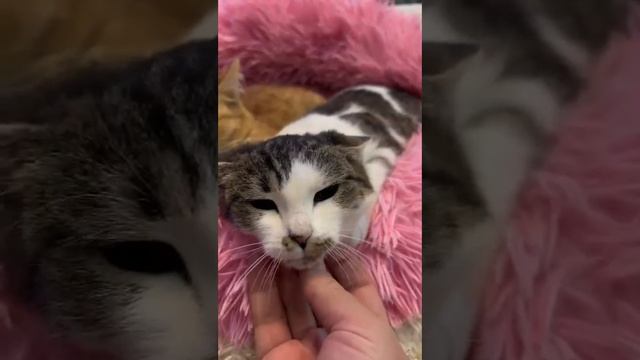 1000056084.mp4