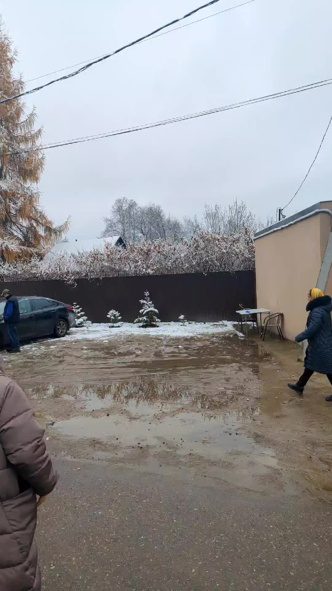 сход в Васильевском 15 ноября 2024