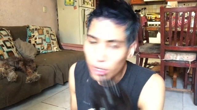 CONSIGUE UN NEGRO AZULADO INTENSO ♡ | Ivii Carranz