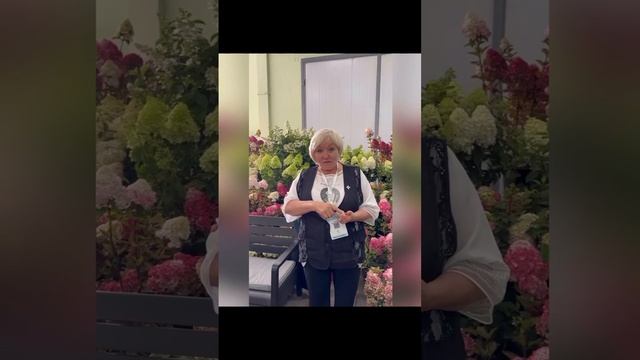 Топ полукарликовых сортов гортензий ❤️