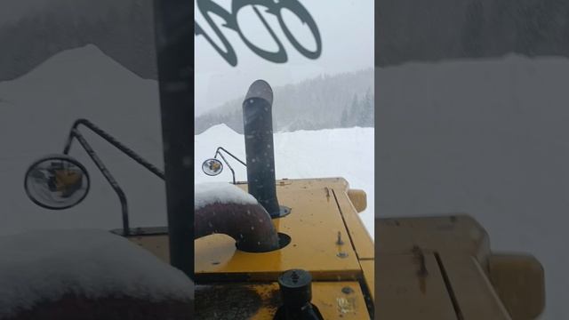 Отправили в лес ))))