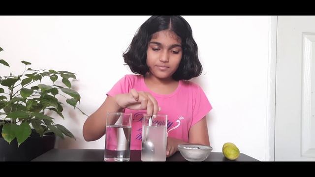Water Density Experiment with lemon || Science school project for exhibition