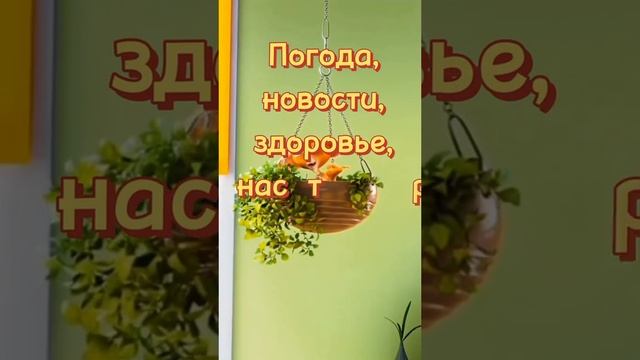 natareutovka9_2024-11-12-06-50-36_1731376236488.mp4