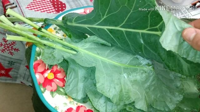 Harvesting basil dehydrating Tabasco peppers healthy tips and tricks by kristopher