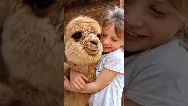 1000011853.mp4