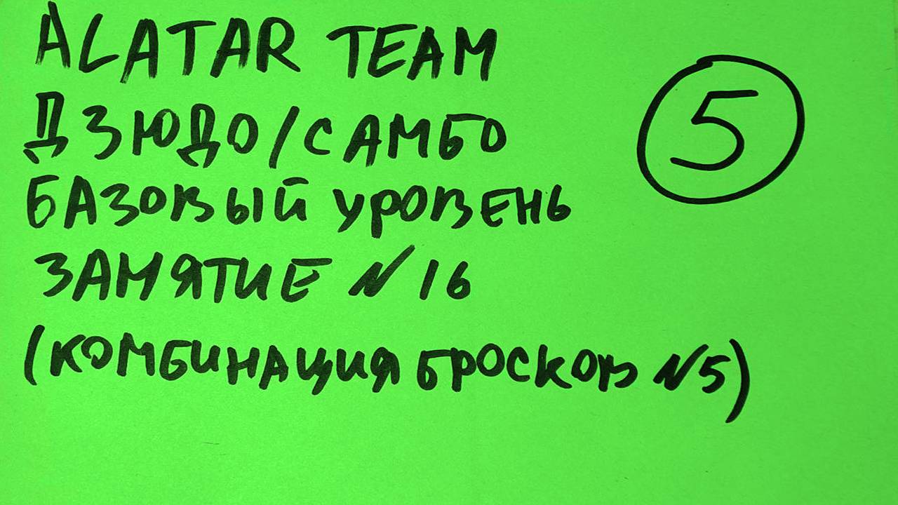 Дзюдо / Самбо базовый уровень, занятие 16 (Комбинация бросков 5)