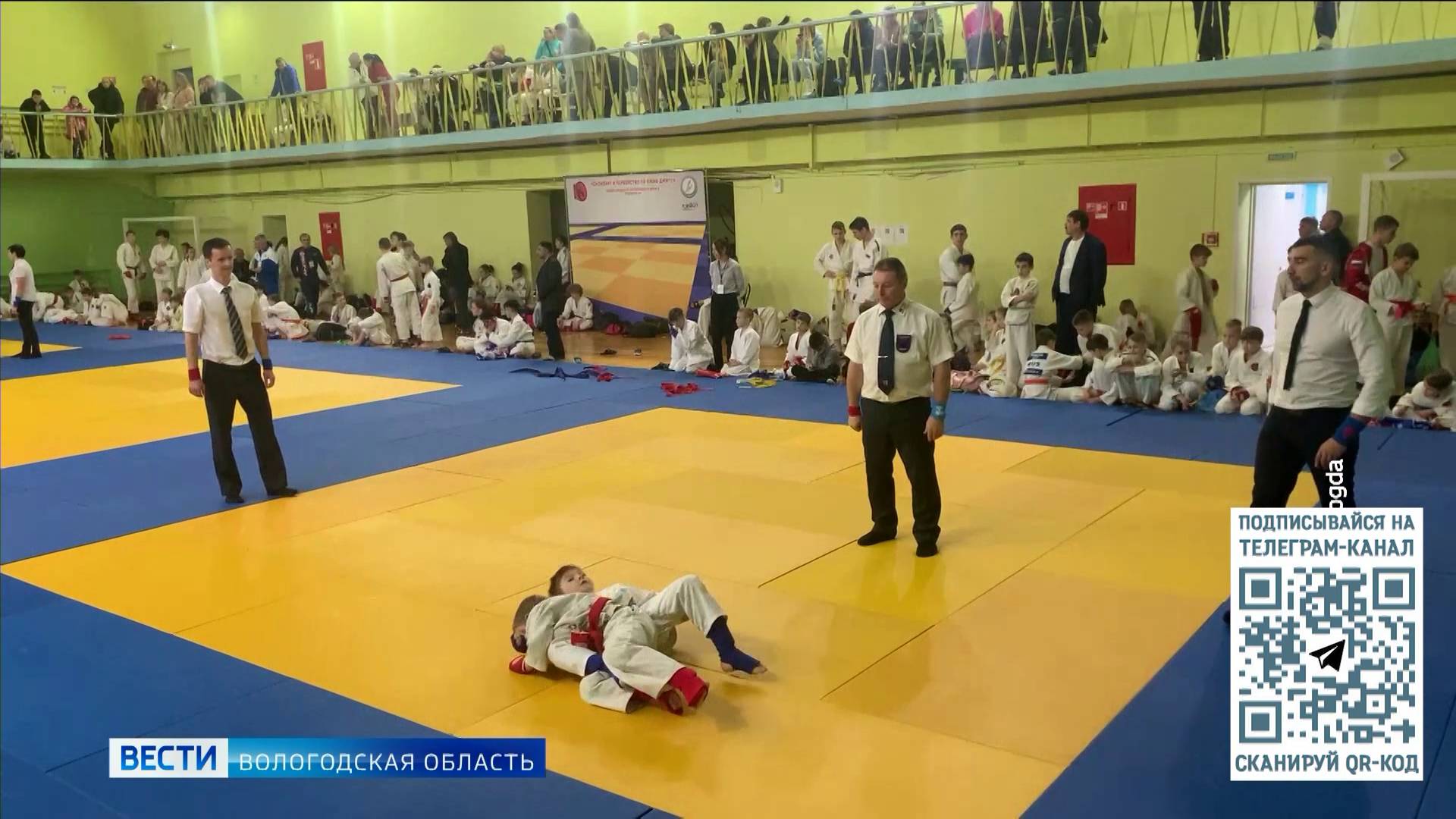 Спортобзор: баскетбольное первенство, боксёрский турнир, волейбол и боевые искусства