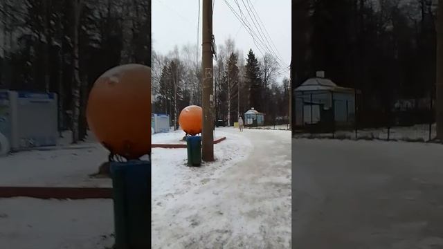 VID-20241115-WA0024